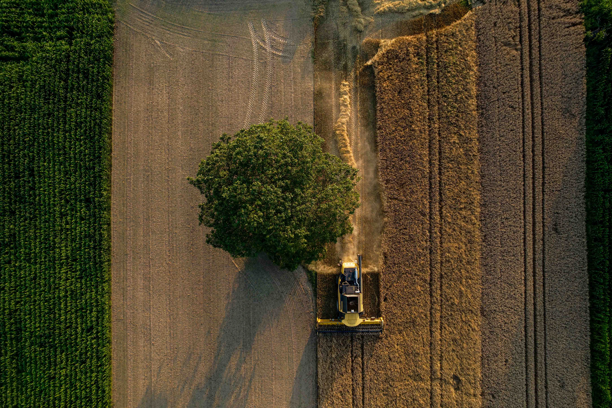 Bernd 📷 Dittrich_1752745266915_unsplash_id_5rKyHGdcKaA.webp